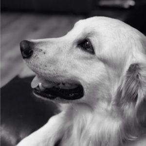 Meet your Posher, Kaya